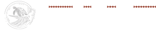 Abstract Turtle Audio Web Logo